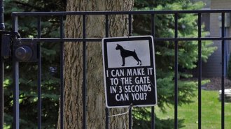 Easy and Cheap Ways to Increase Your Home's Security Based on Burglars' Habits