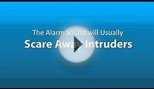Memphis Web Commercials British Home Security