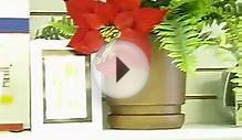Surveillance Equipment Demonstration: Spy Finder
